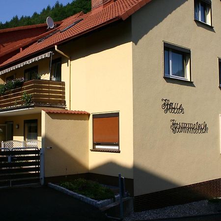 Haus-Kummeleck-Wohnung-3 Bad Lauterberg Eksteriør billede